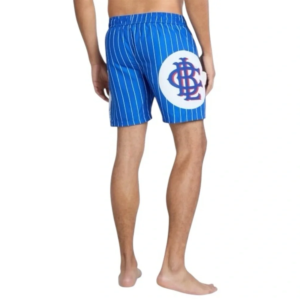 Big League Chew Striped Men's Swim Shorts- Large